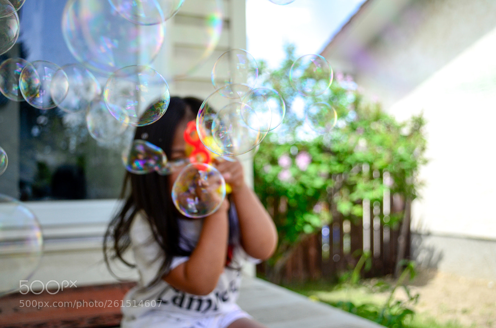 Nikon D5100 sample photo. Untitled photography