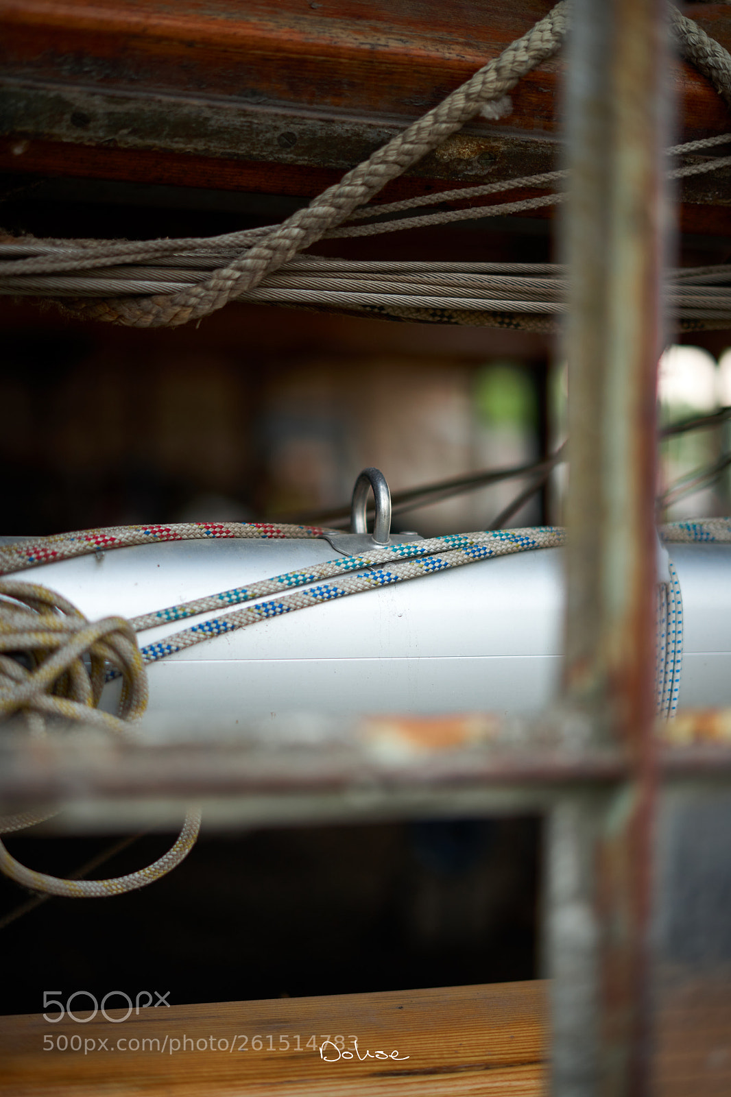 Sony a7 II sample photo. Boots photography