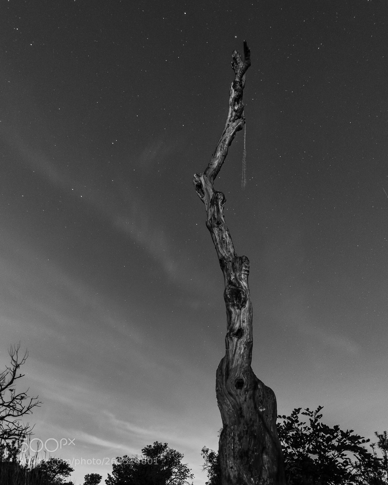 Nikon D7000 sample photo. Mysterious and that rope photography