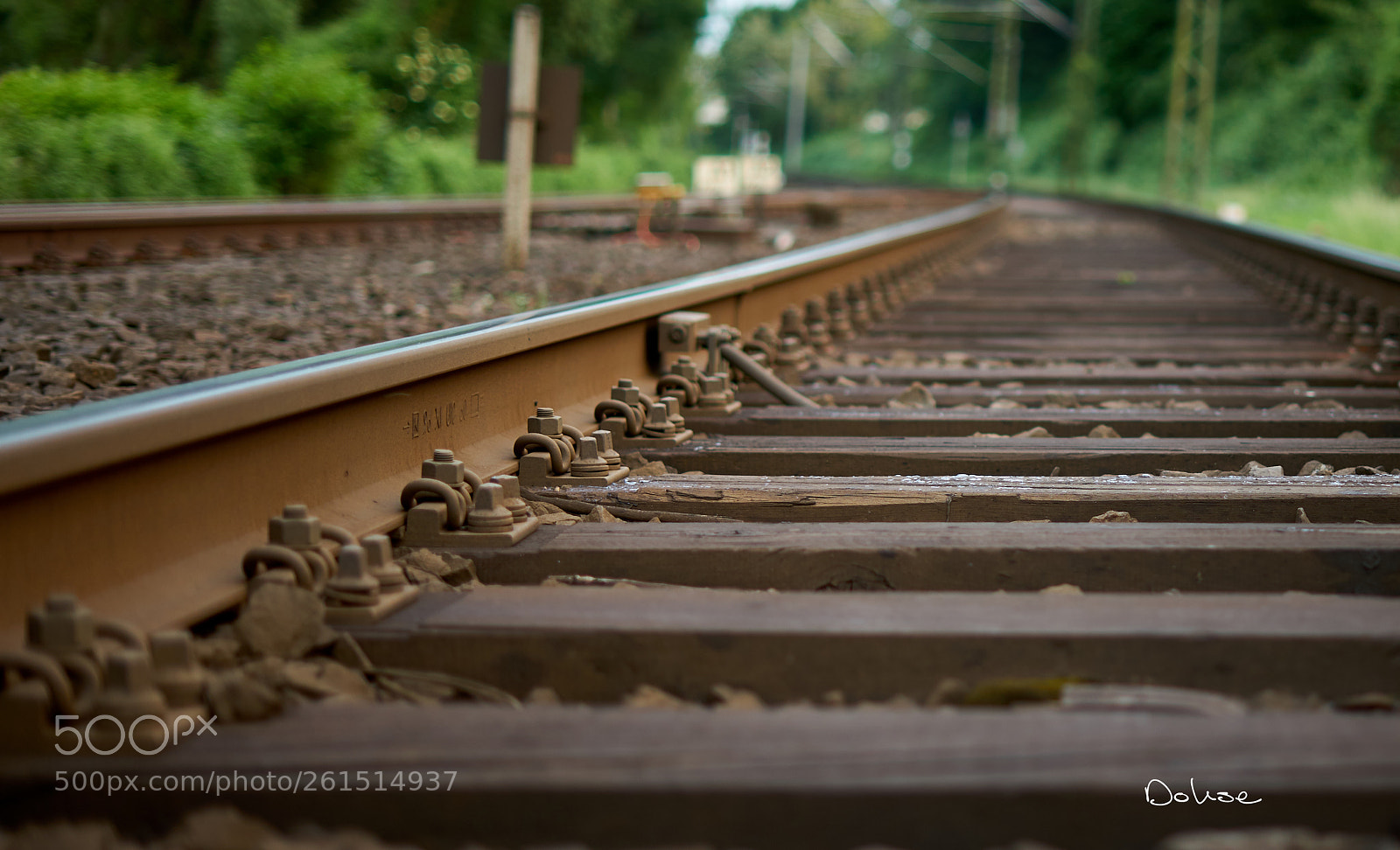 Sony a7 II sample photo. Alle weg f hren photography