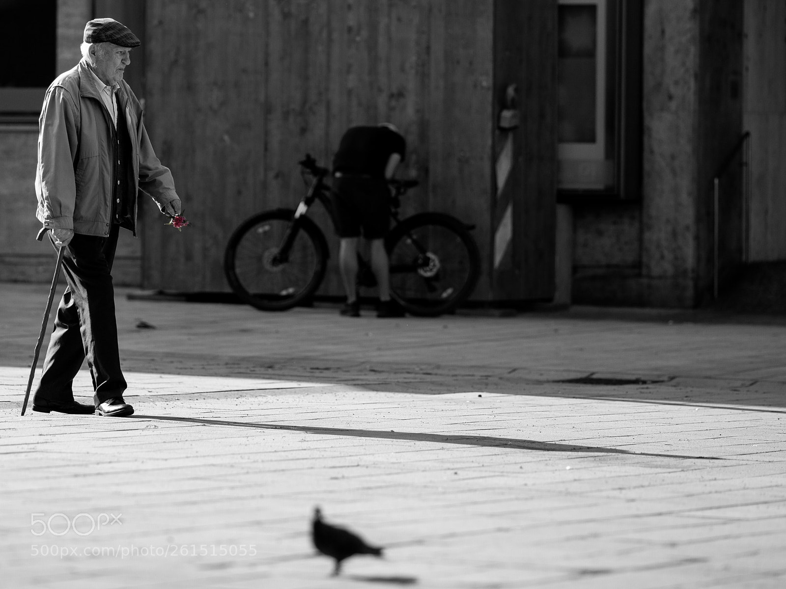 Canon EOS 5D Mark II sample photo. Walker photography