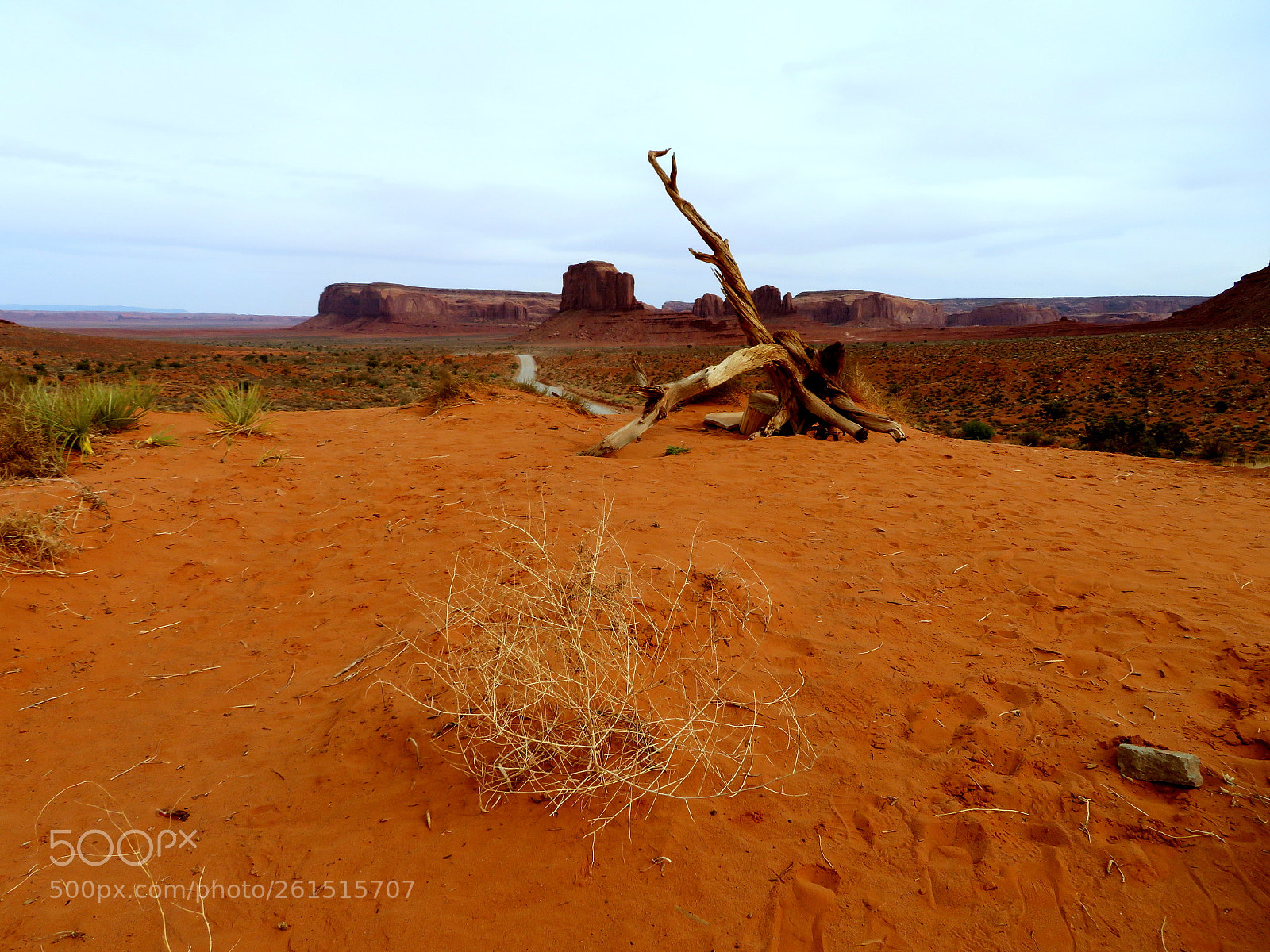 Canon PowerShot SX720 HS sample photo. Desert scenes photography