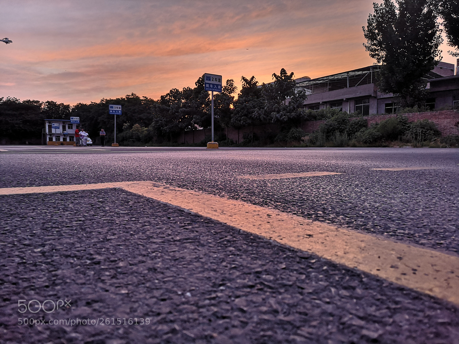HUAWEI P20 sample photo. Untitled photography