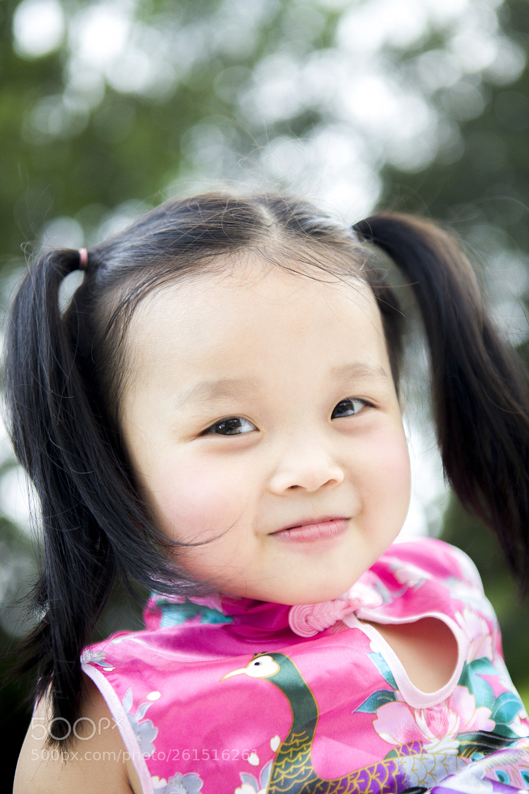 Canon EOS 5D Mark II sample photo. Iris photography
