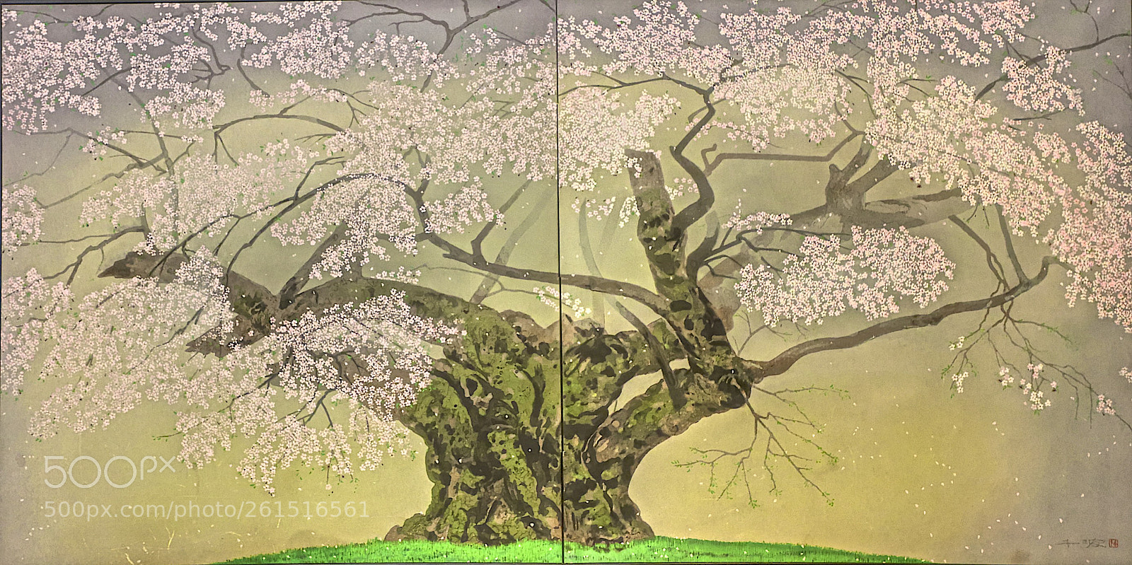 Canon EOS 6D Mark II sample photo. The blossoms photography
