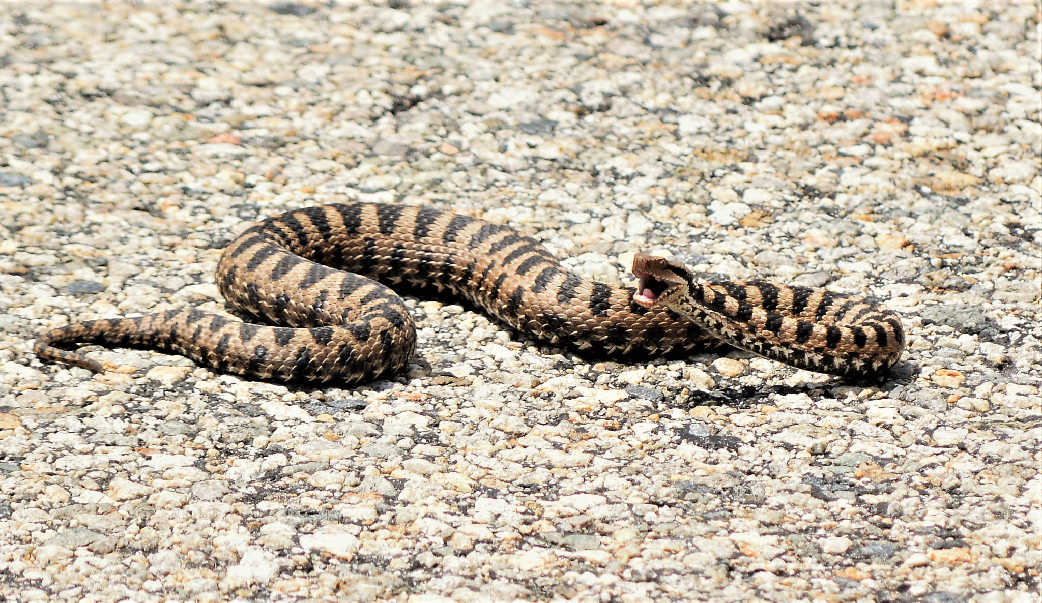 Nikon D3200 sample photo
