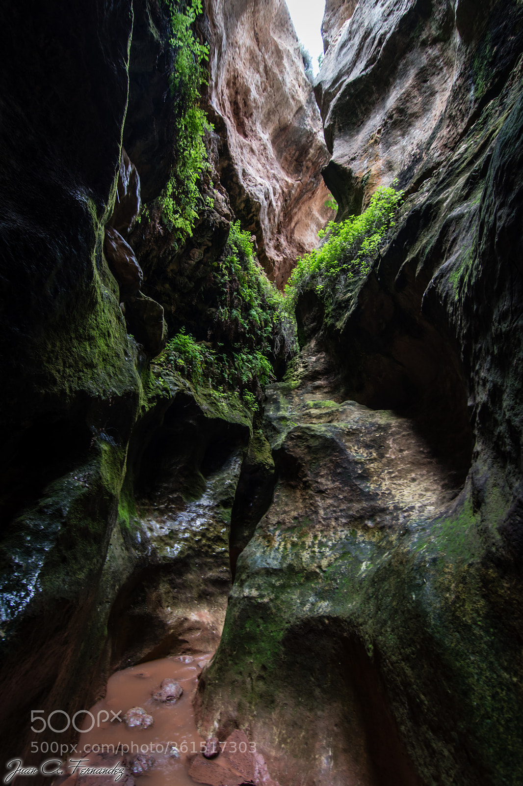 Nikon D7200 sample photo. Estrecho de la arboleja photography