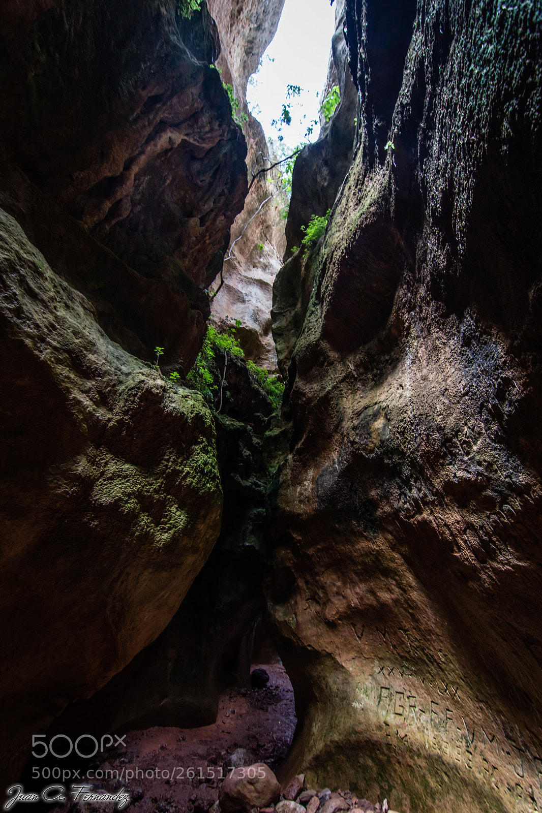 Nikon D7200 sample photo. Estrecho de la arboleja photography