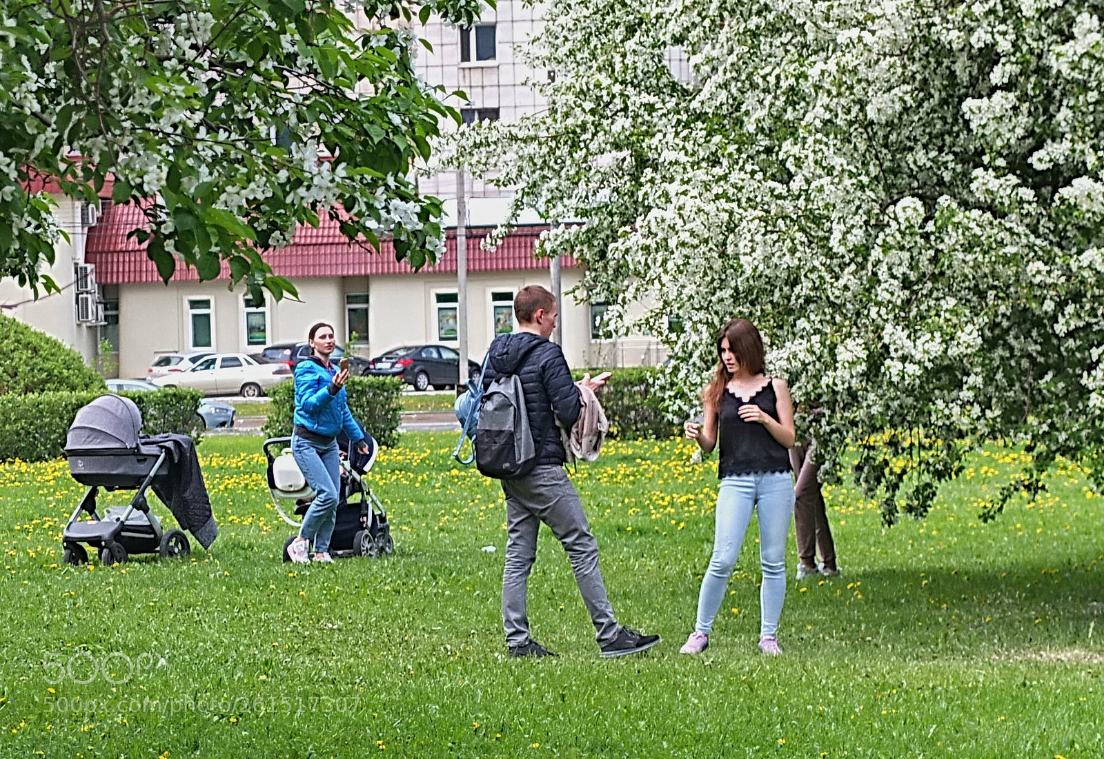 Fujifilm X10 sample photo. яблони в цвету photography