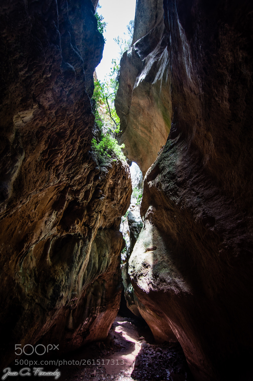 Nikon D7200 sample photo. Estrecho de la arboleja photography