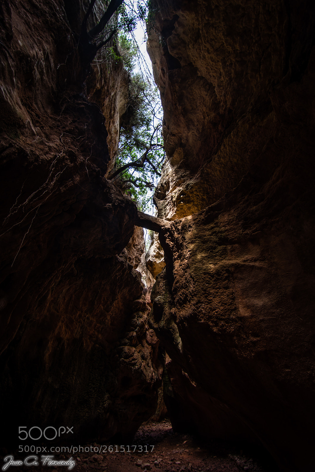 Nikon D7200 sample photo. Estrecho de la arboleja photography