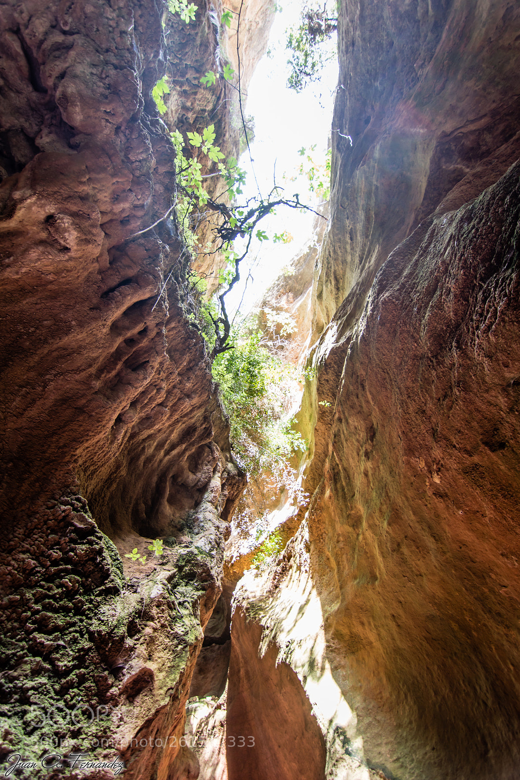 Nikon D7200 sample photo. Estrecho de la arboleja photography