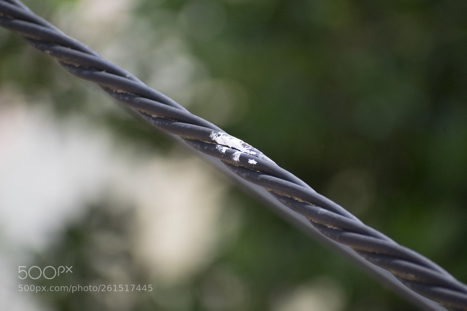Nikon D5300 sample photo. Reality photography