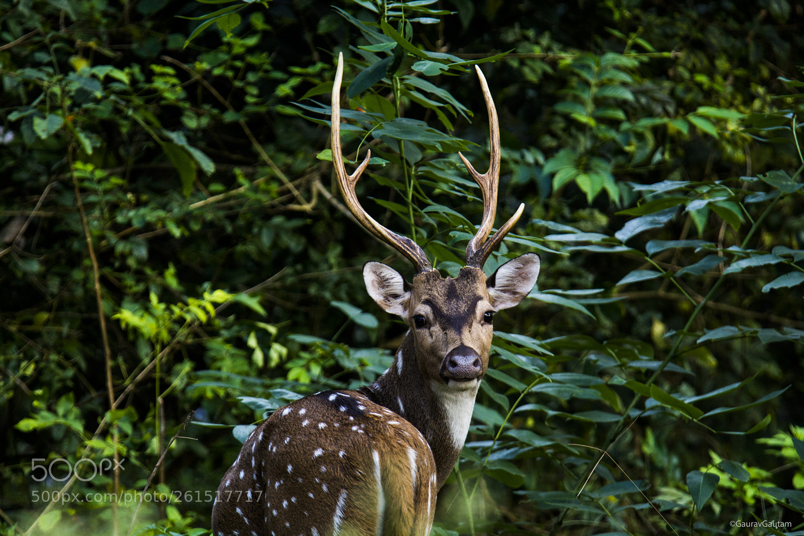 Nikon D7100 sample photo. Untitled photography