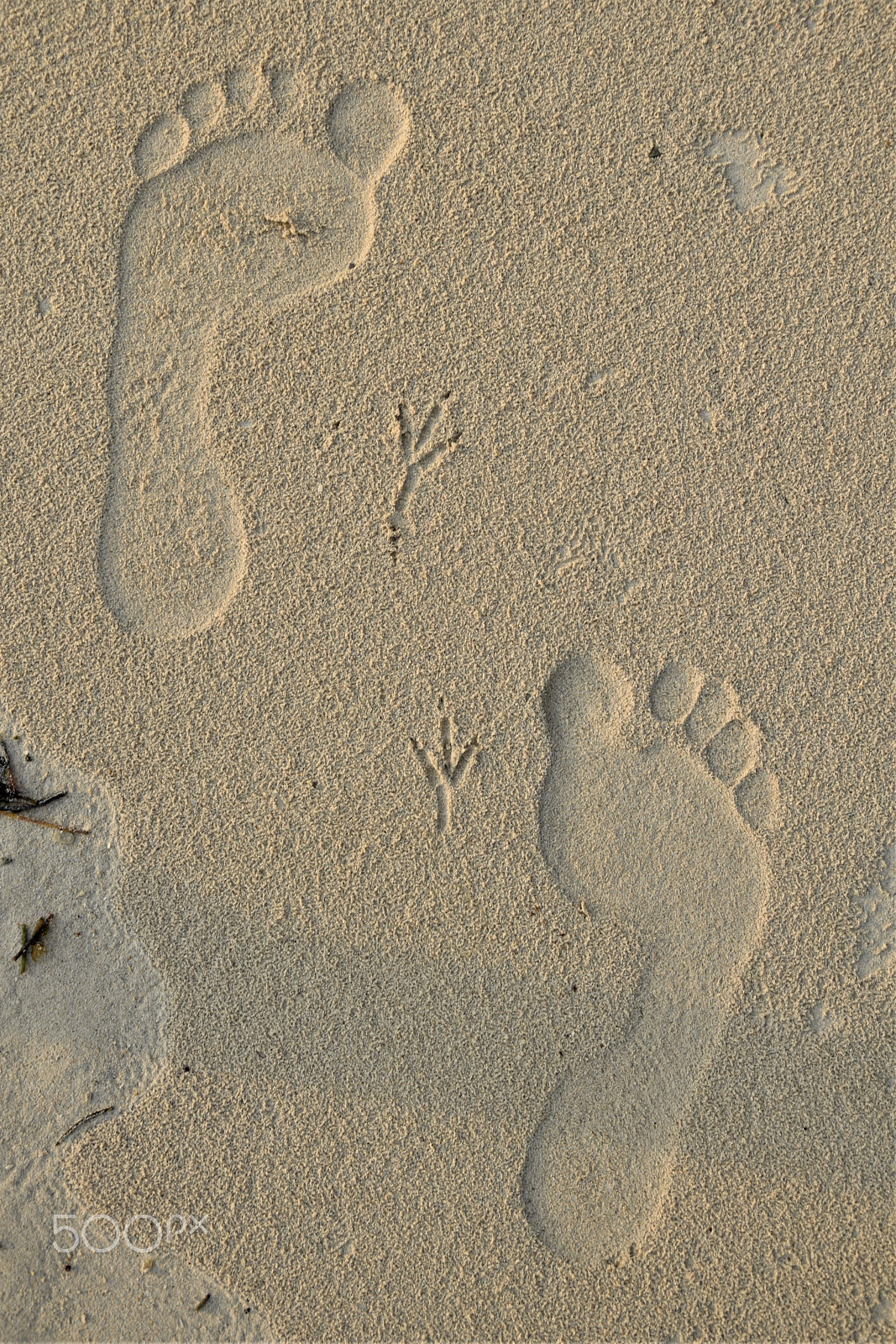 Nikon D5300 sample photo. Walking footsteps photography