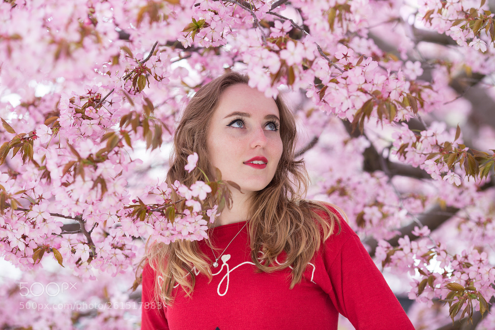 Canon EOS 6D sample photo. Img photography
