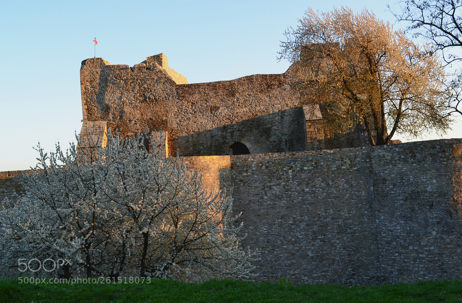 Nikon D3100 sample photo. Neamt citadel photography