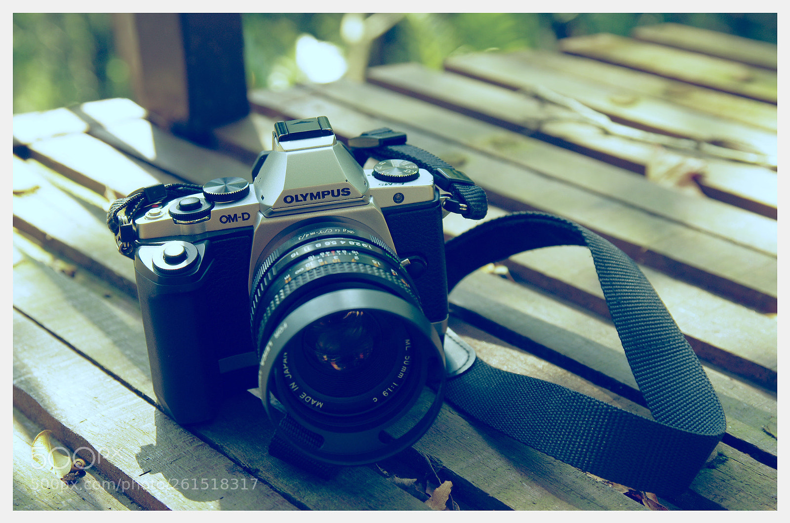 Pentax K-5 sample photo. My year my life  photography