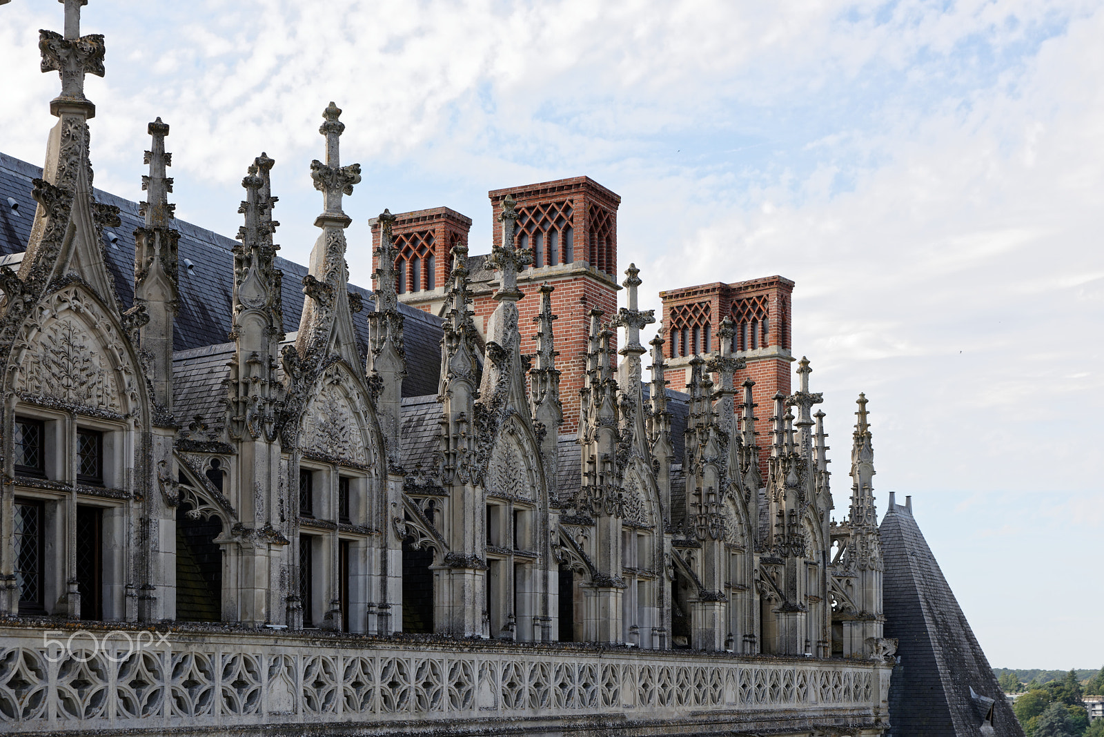 Nikon D810 + Tamron SP 24-70mm F2.8 Di VC USD sample photo. Amboise, chateau royal d'amboise, dach photography