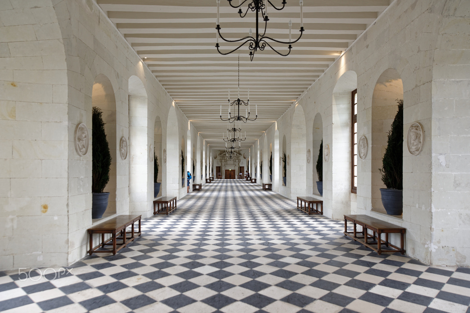 Nikon D810 + Tamron SP 24-70mm F2.8 Di VC USD sample photo. Chenonceaux, chateau de chenonceau, galerie photography