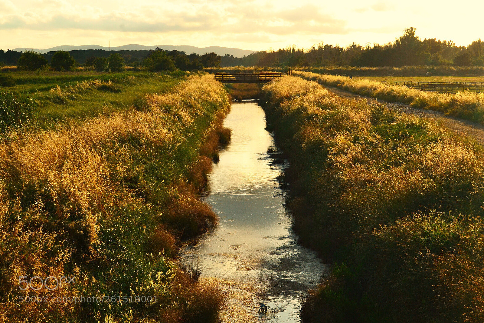 Nikon D3100 sample photo. Colored pond photography
