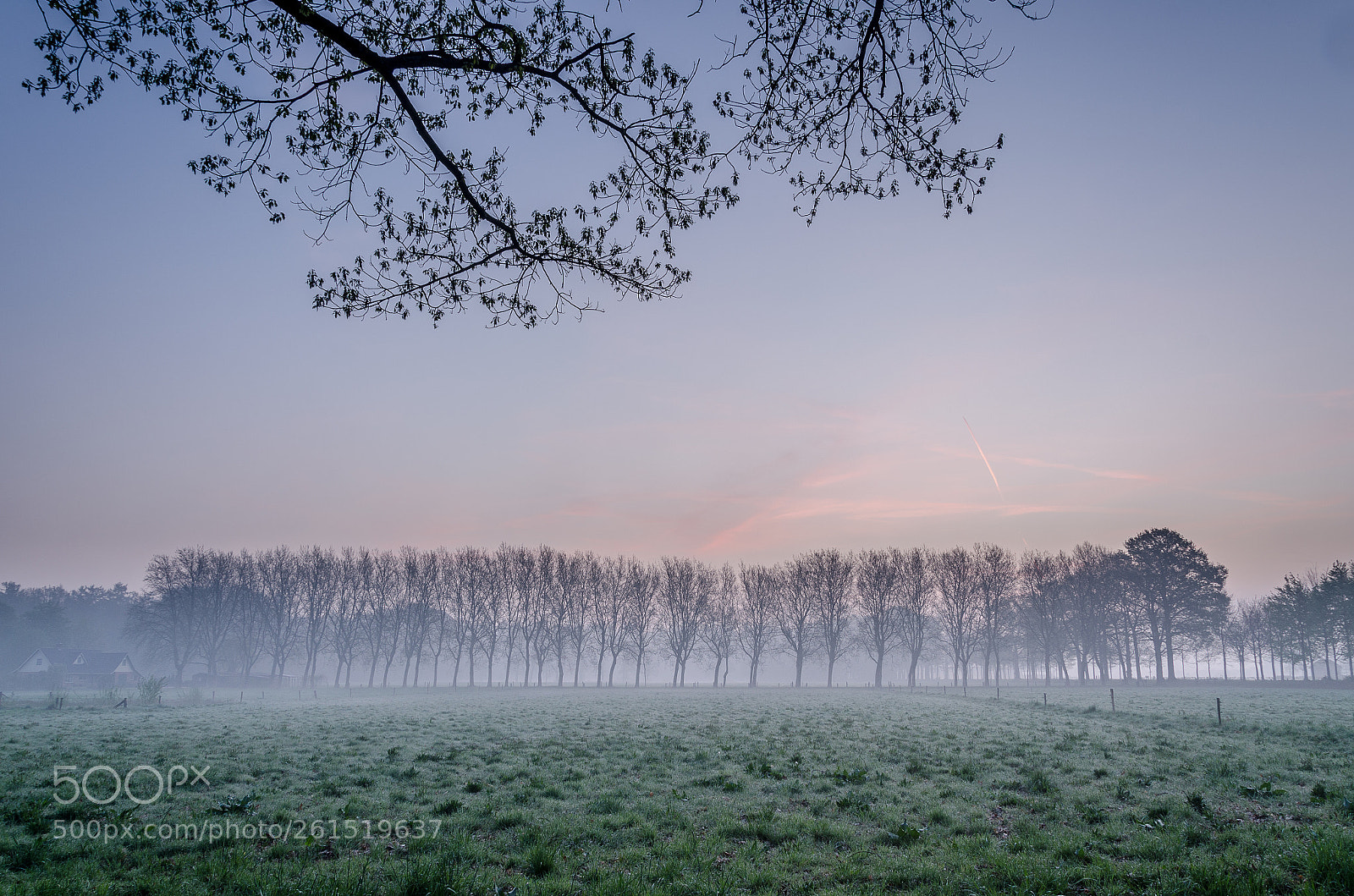 Nikon D7000 sample photo. Foggy start of a photography