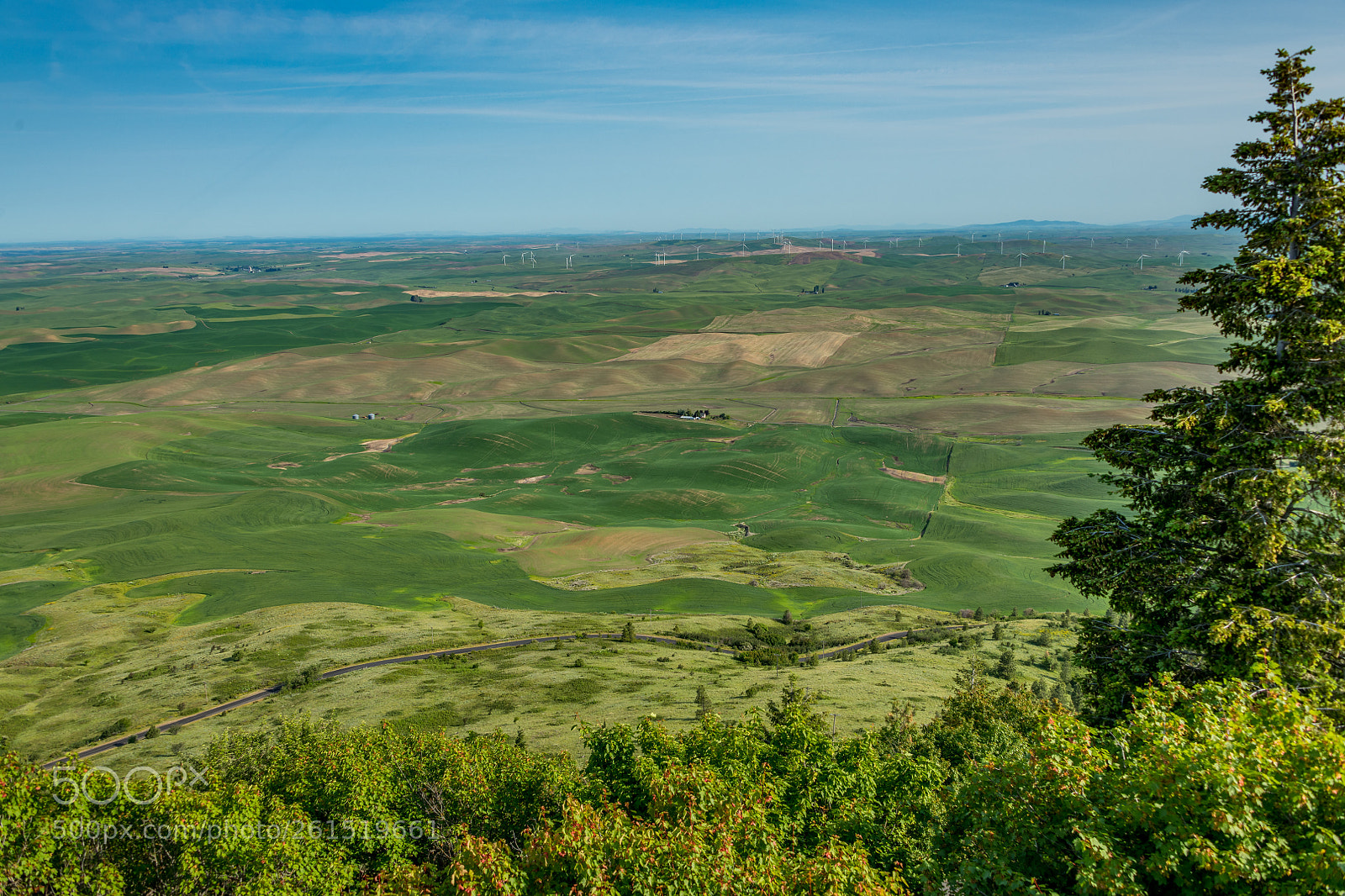 Nikon D850 sample photo. Vista from steptoe butte 1 photography