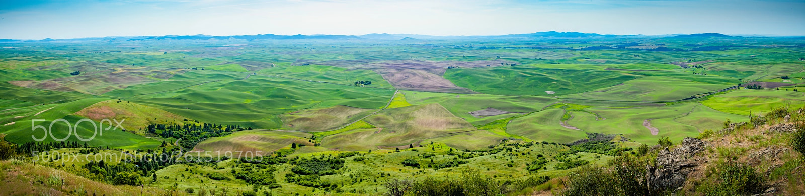 Nikon D850 sample photo. Panorama from steptoe butte photography
