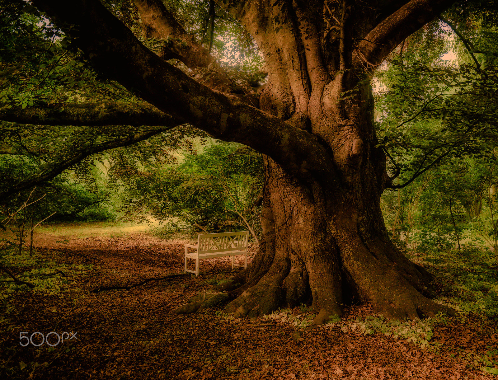 Sony a7R sample photo. Verlassener ort photography