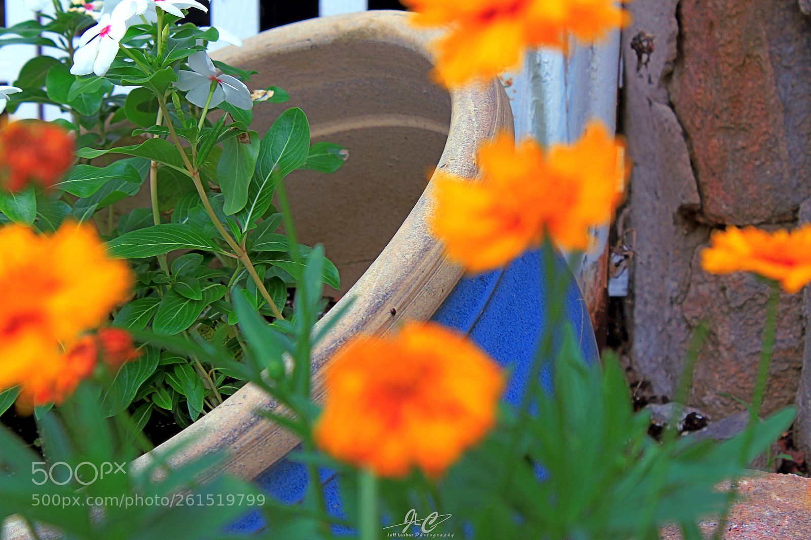 Canon EOS 1300D (EOS Rebel T6 / EOS Kiss X80) sample photo. The pot photography
