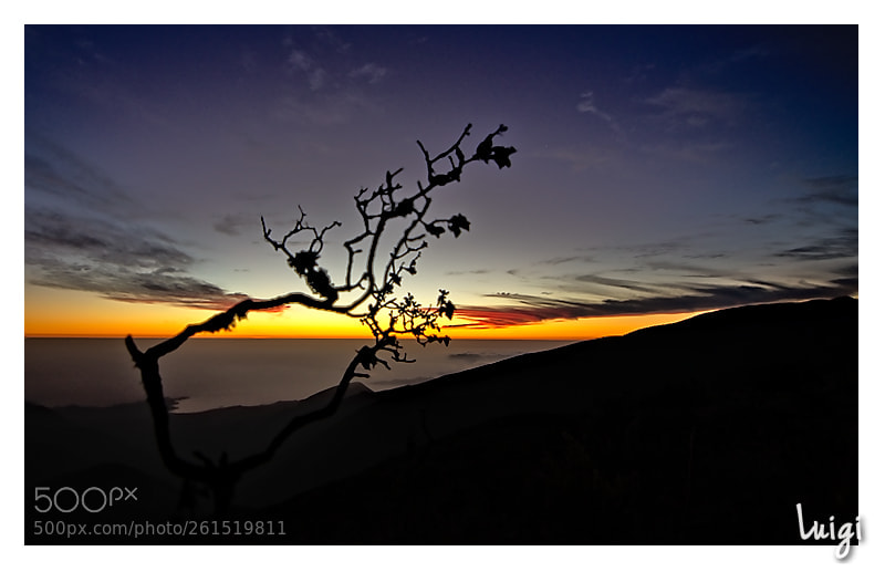 Nikon D5100 sample photo. Sunset photography