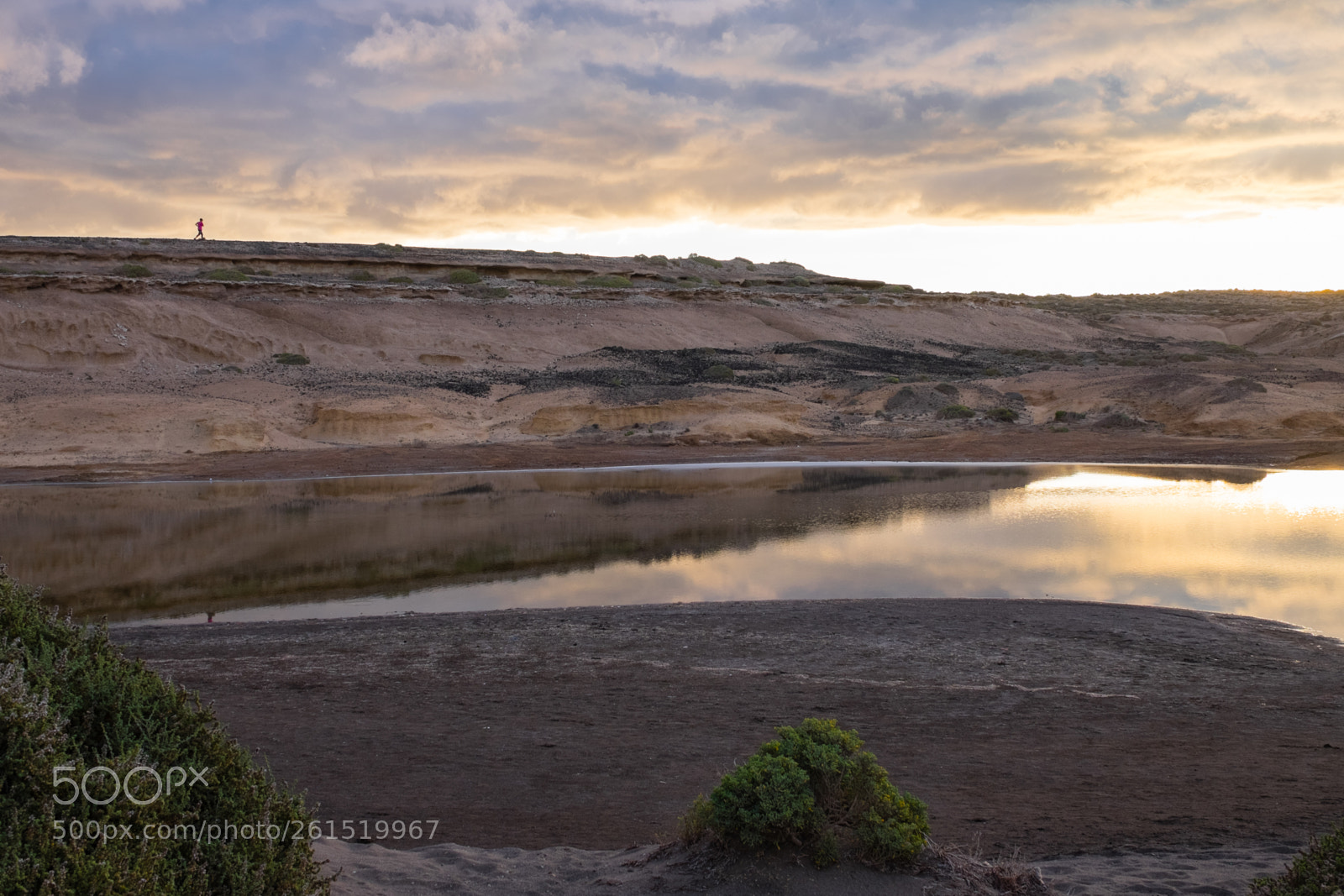 Fujifilm X-T1 sample photo. 30-10-2014-17-51-19.jpg photography