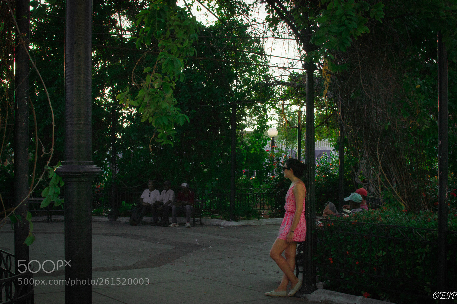 Nikon D3200 sample photo. Waitng for... photography