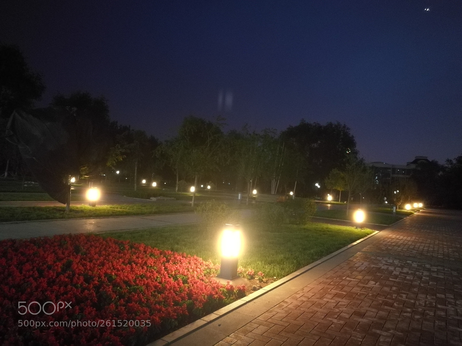 HUAWEI P9 sample photo. Tonight photography