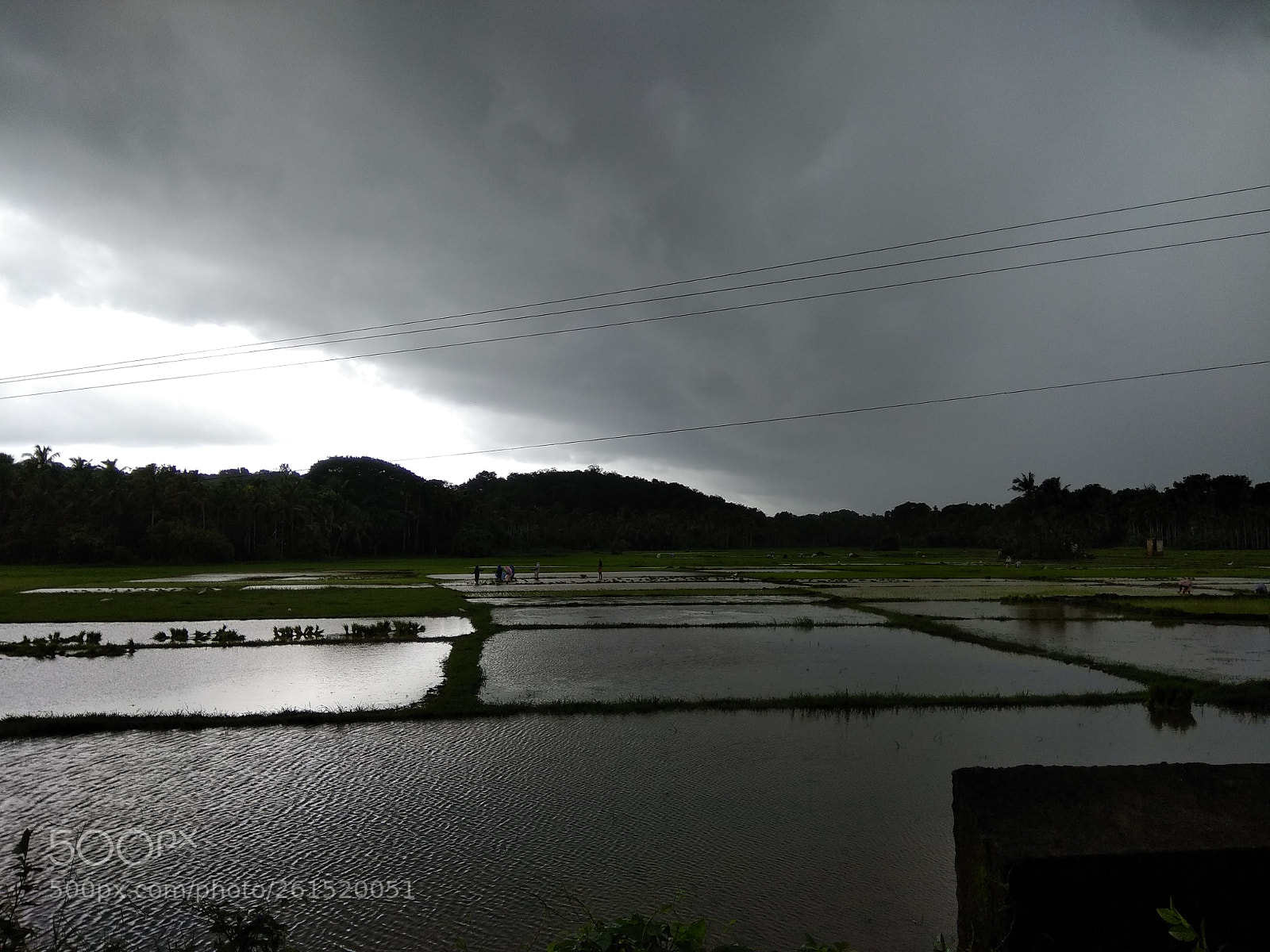 Xiaomi Redmi Note 4 sample photo. Mansoon ..... photography