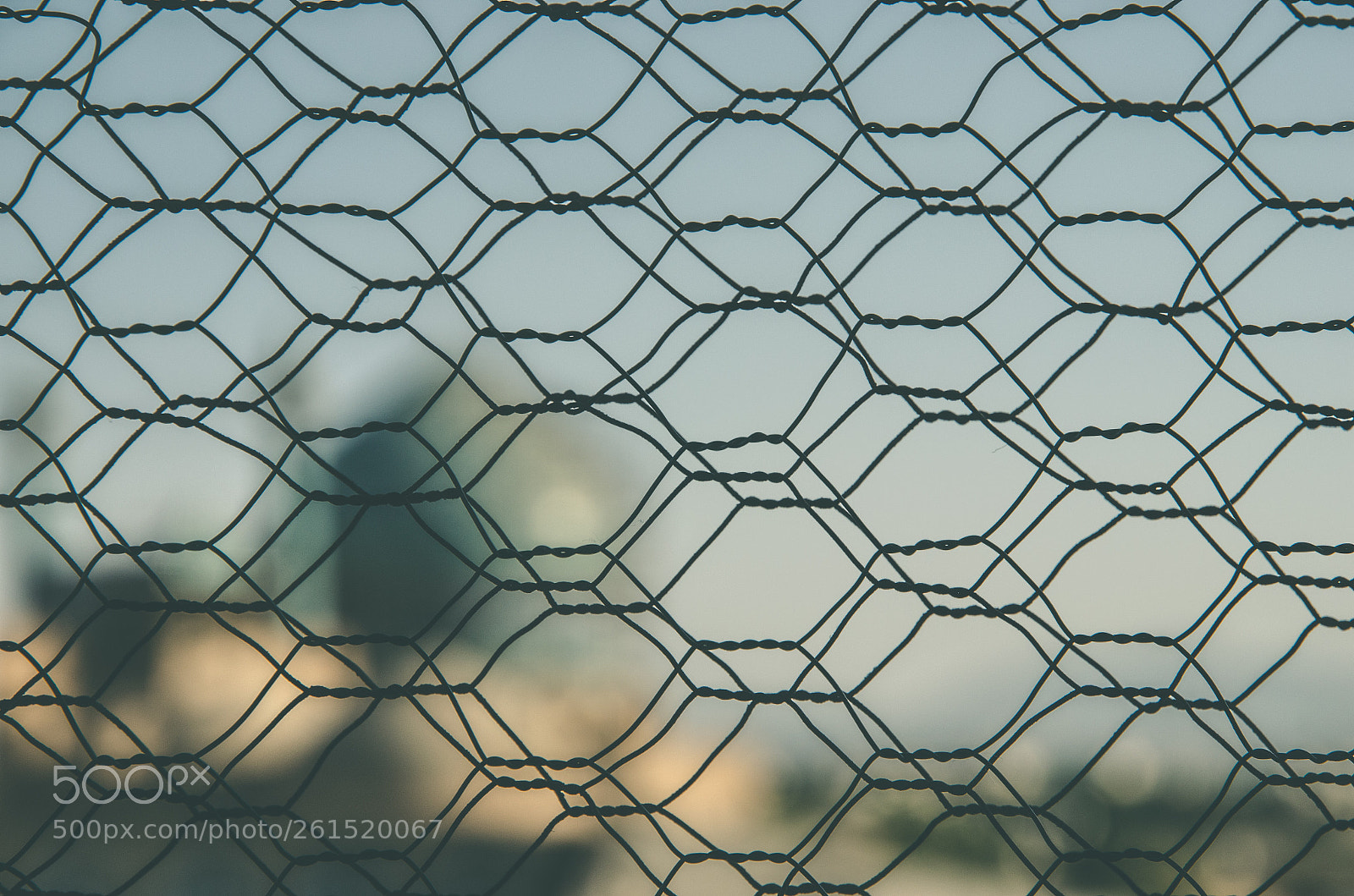 Nikon D5100 sample photo. Fence  photography