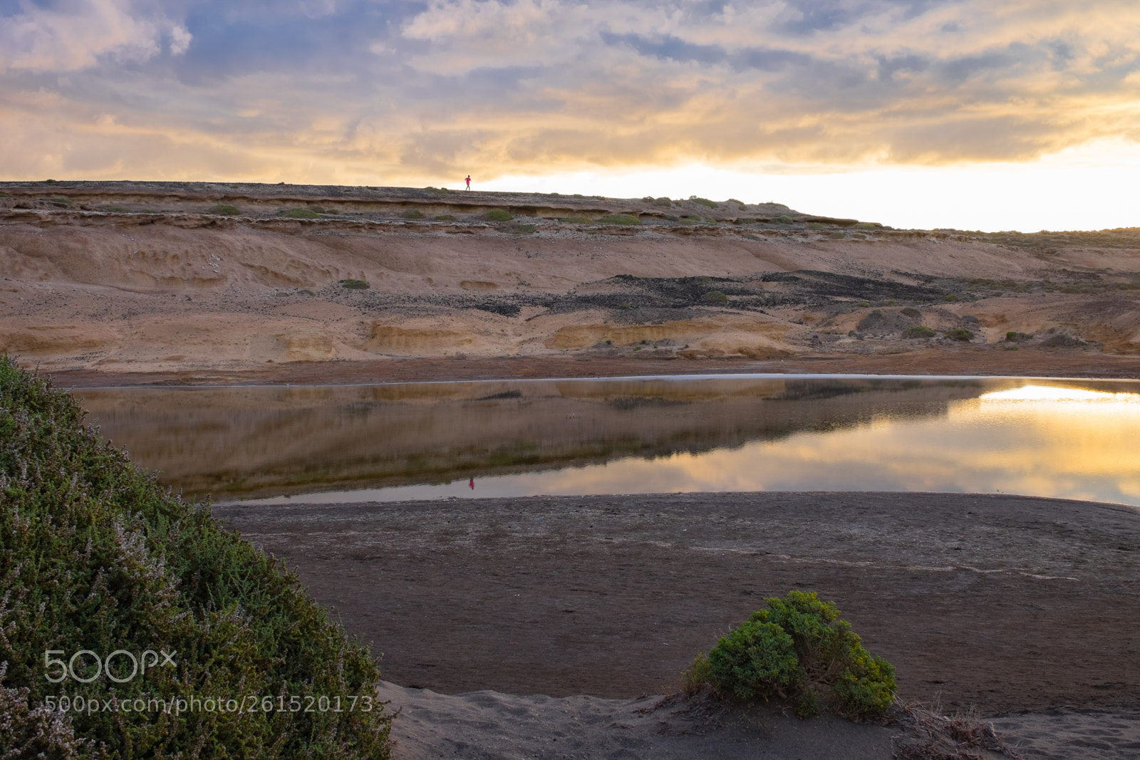 Fujifilm X-T1 sample photo. 30-10-2014-17-51-29.jpg photography