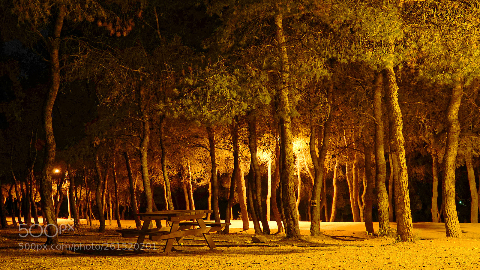 Sony a7 sample photo. Wooden rest place photography