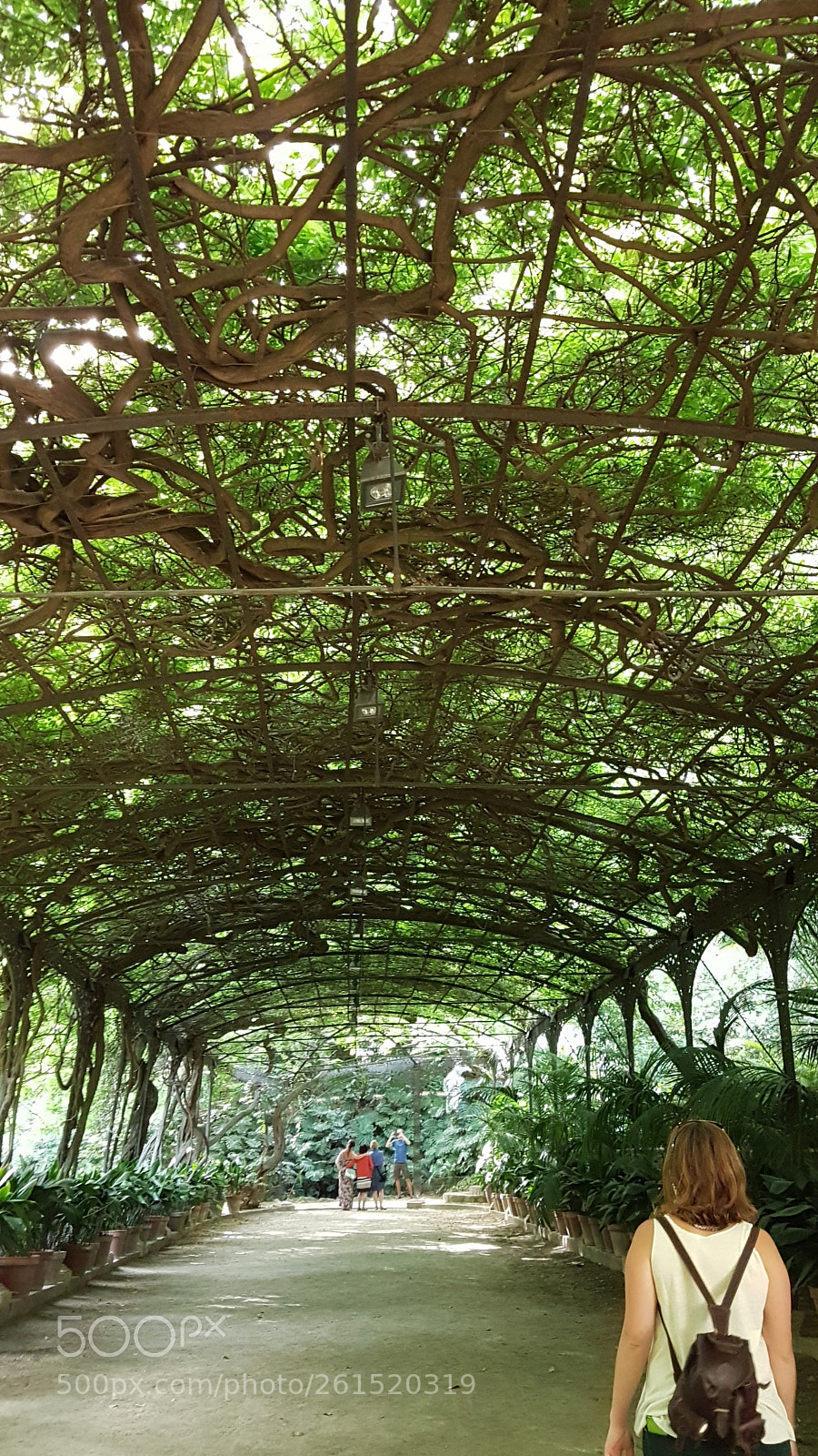 Samsung Galaxy S7 Edge sample photo. Jardín botánico. photography