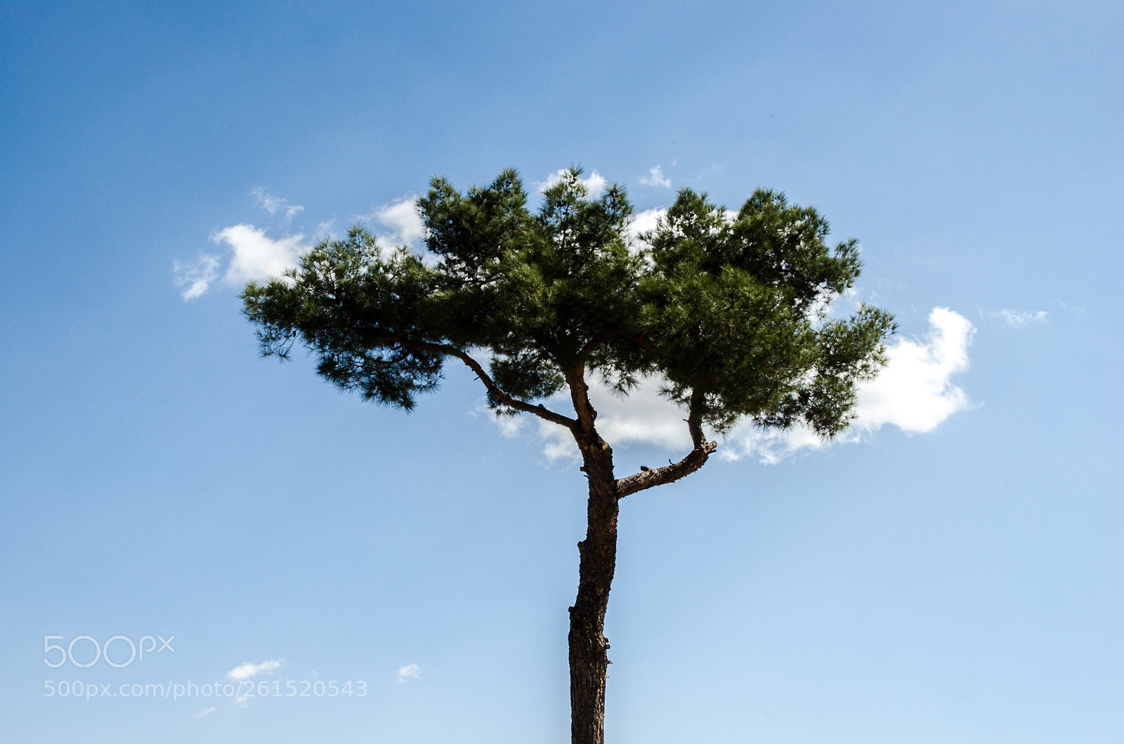 Nikon D5100 sample photo. Hug photography
