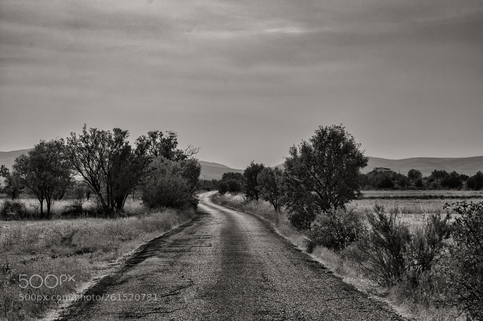 Nikon D90 sample photo. Walking and whistling photography