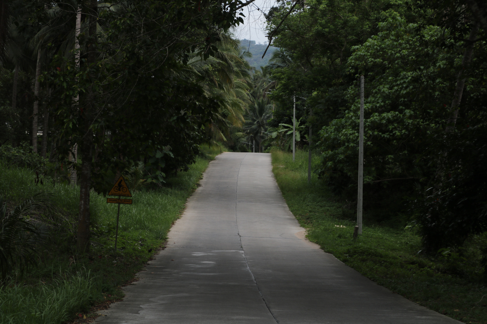Canon EOS 750D (EOS Rebel T6i / EOS Kiss X8i) sample photo