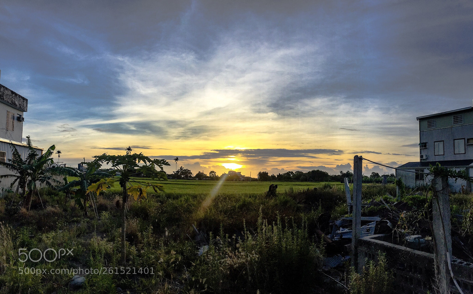 Apple iPhone 6 sample photo. Sunrise above field  photography