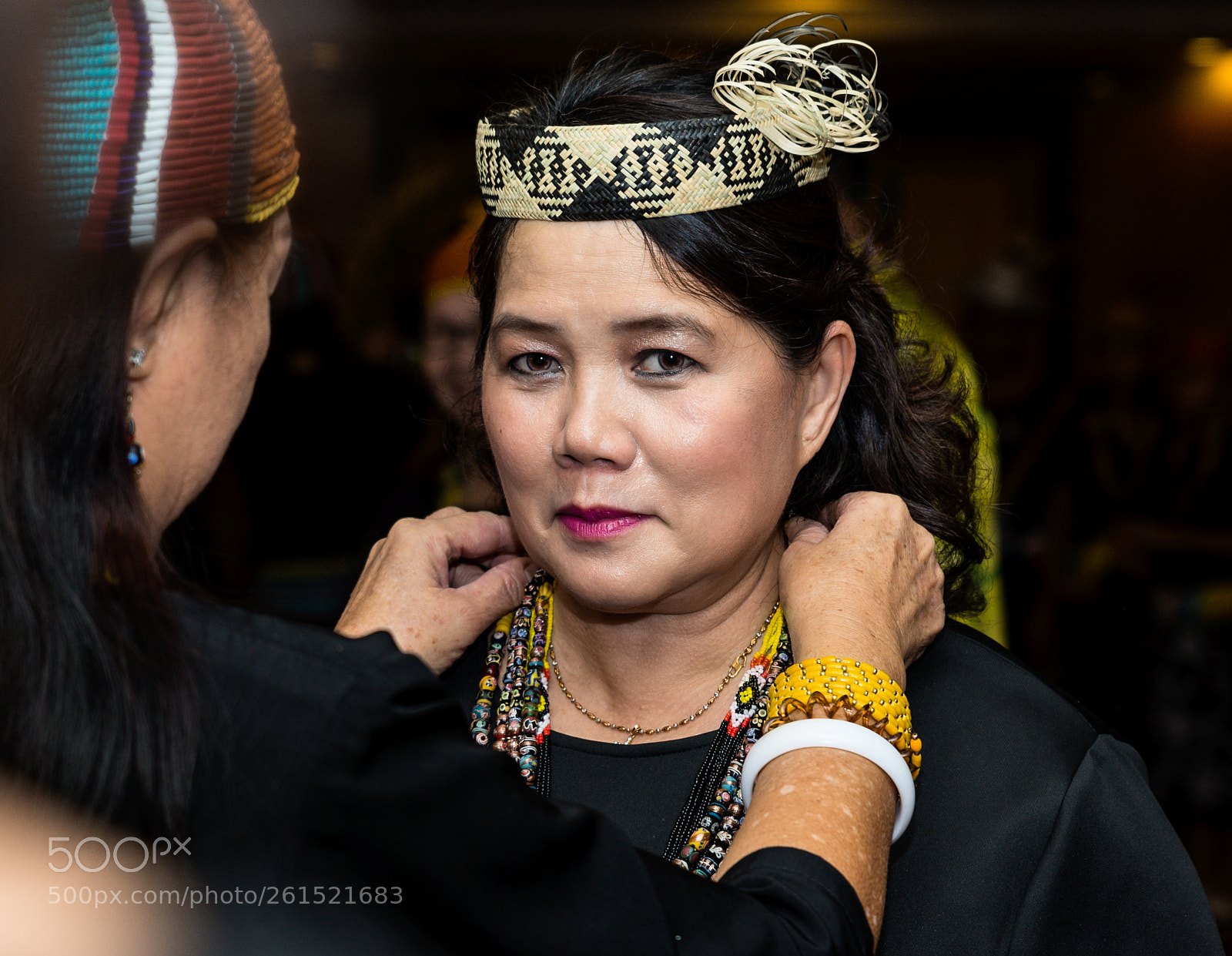 Nikon D610 sample photo. The paramount chief of photography