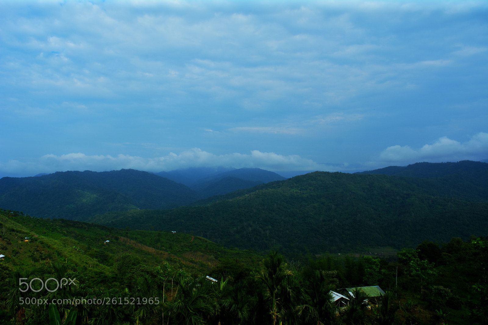 Nikon D5200 sample photo. Untitled photography