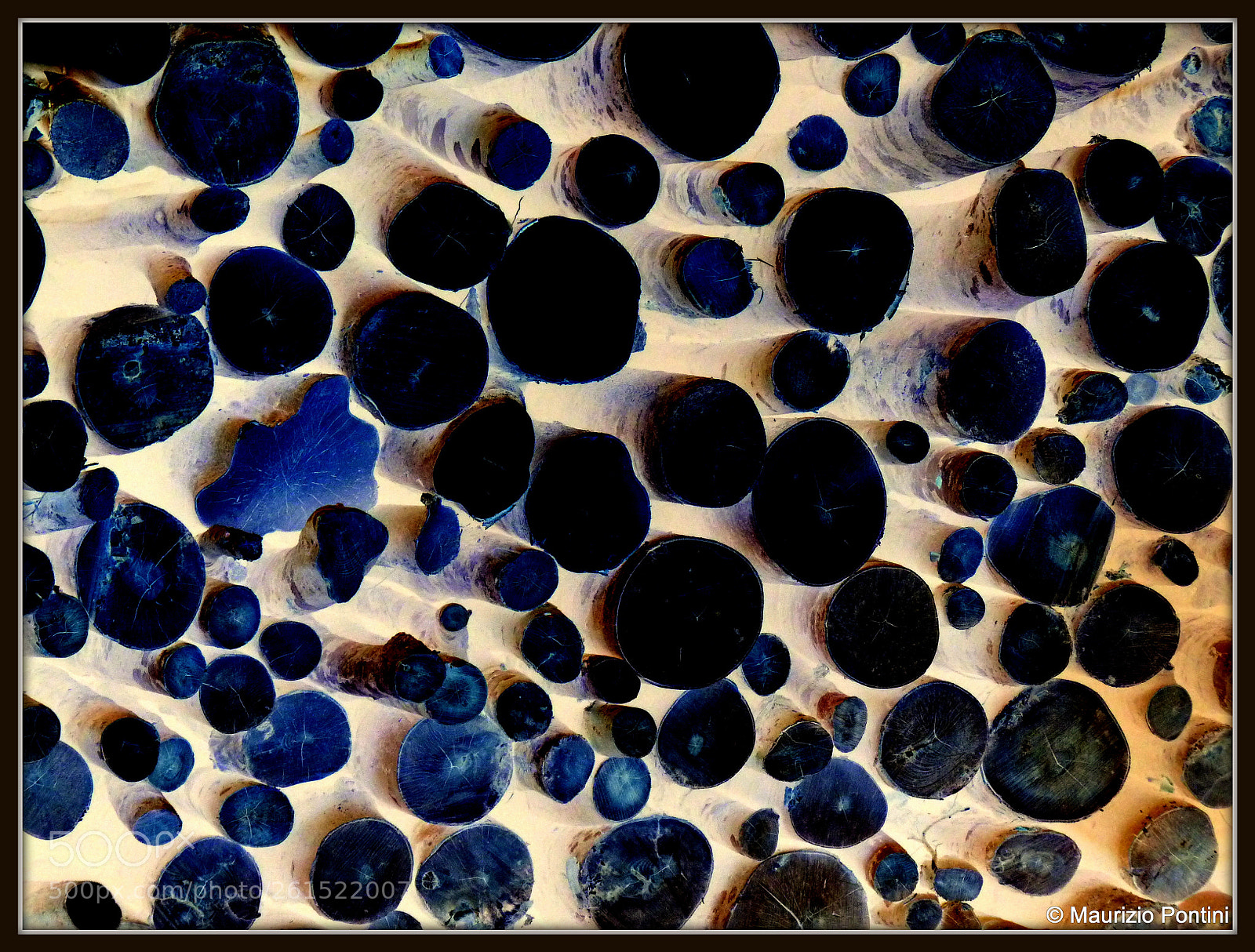 Panasonic Lumix DMC-FZ35 (Lumix DMC-FZ38) sample photo. Wooden logs in digital photography