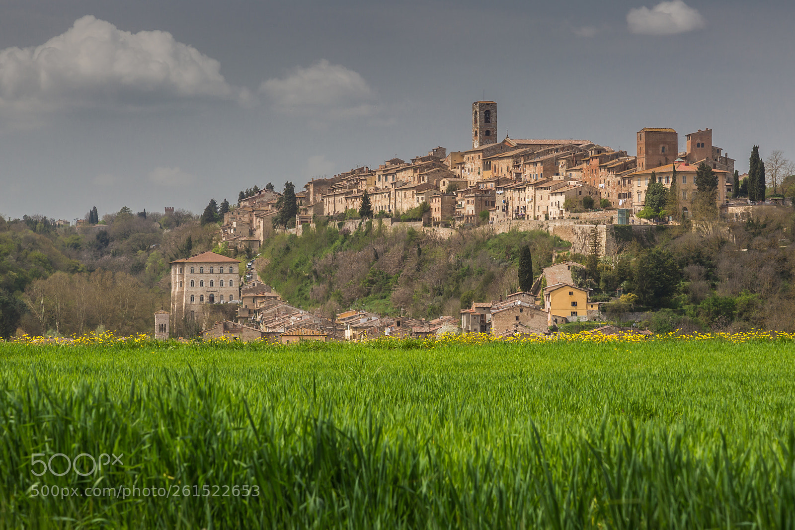 Canon EOS 6D sample photo. Colle di val d'elsa photography