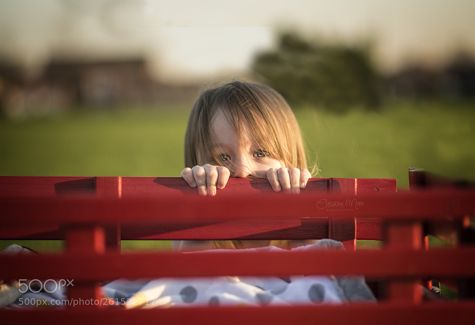 Nikon D750 sample photo. Peek a boo photography