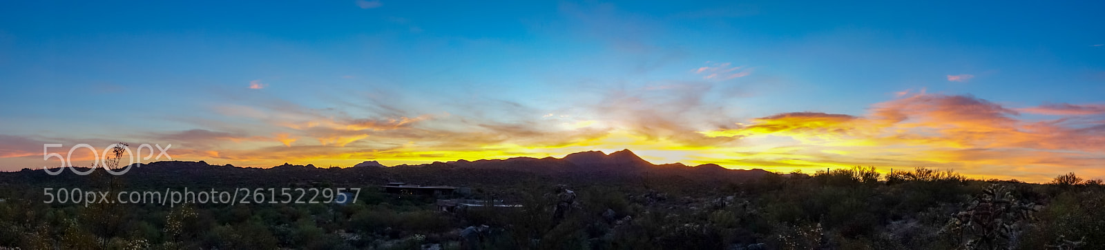 Sony Cyber-shot DSC-RX100 III sample photo. Desert dessert photography