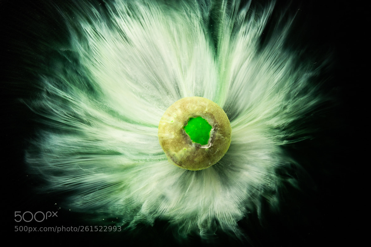 Nikon D7200 sample photo. Green m&m photography